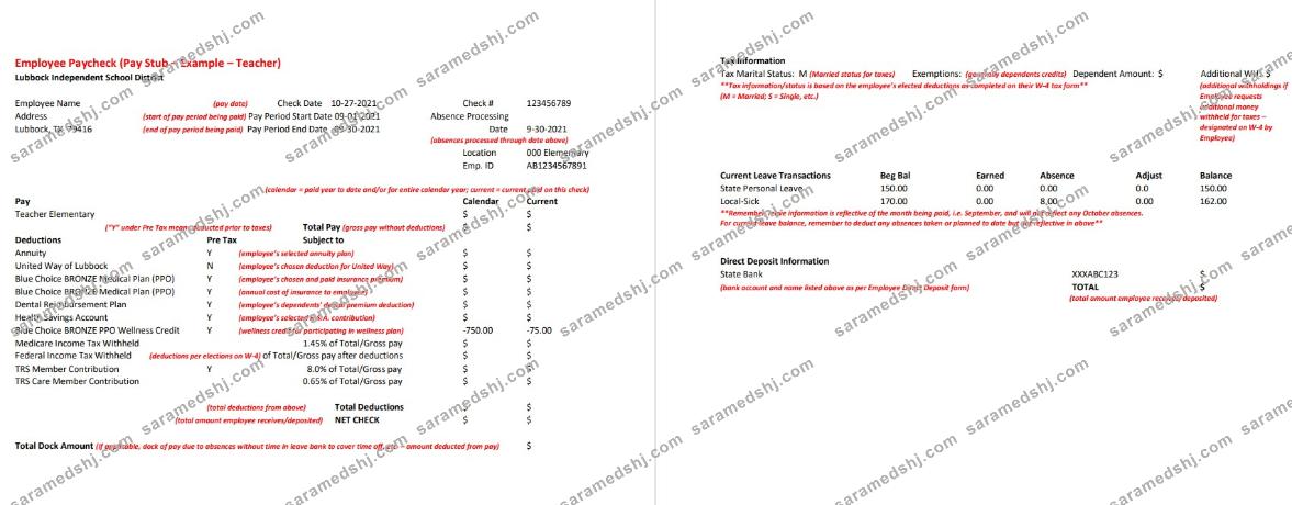 Lubbock Independent School District teacher pay stub Word and PDF template